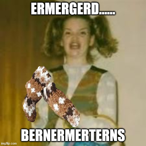 Ermergerd Bernermerterns! | ERMERGERD...... BERNERMERTERNS | image tagged in bernie mittens,ermergerd | made w/ Imgflip meme maker