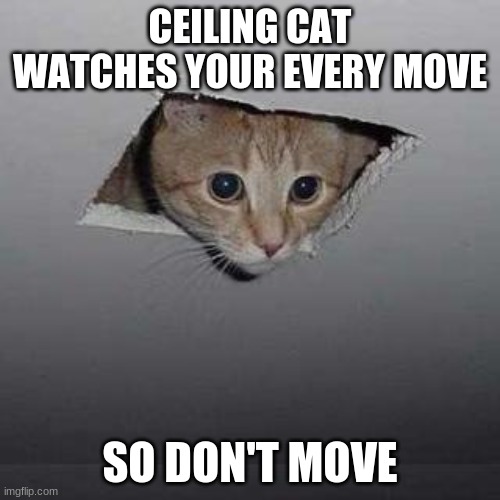 Ceiling Cat | CEILING CAT WATCHES YOUR EVERY MOVE; SO DON'T MOVE | image tagged in memes,ceiling cat | made w/ Imgflip meme maker