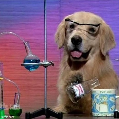 dog to make your day better | image tagged in memes,i have no idea what i am doing dog | made w/ Imgflip meme maker
