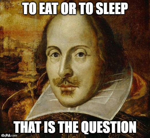 Shakesphere | TO EAT OR TO SLEEP; THAT IS THE QUESTION | image tagged in shakesphere | made w/ Imgflip meme maker
