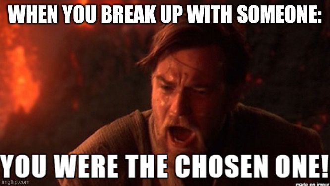 LOL | WHEN YOU BREAK UP WITH SOMEONE: | image tagged in you were the chosen one,memes,funny,star wars,breakup | made w/ Imgflip meme maker