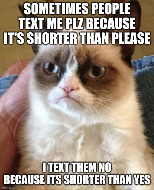 Grumpy Cat Meme | SOMETIMES PEOPLE TEXT ME PLZ BECAUSE IT'S SHORTER THAN PLEASE; I TEXT THEM NO BECAUSE ITS SHORTER THAN YES | image tagged in memes,grumpy cat | made w/ Imgflip meme maker