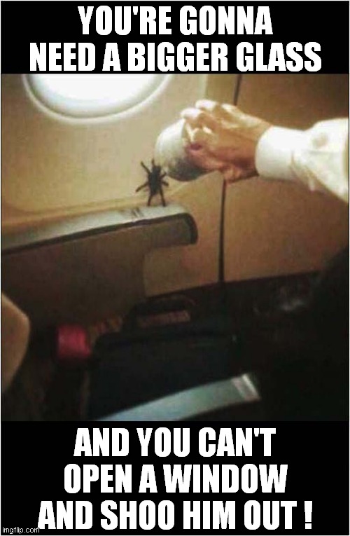 Spider On A Plane ! | YOU'RE GONNA NEED A BIGGER GLASS; AND YOU CAN'T OPEN A WINDOW AND SHOO HIM OUT ! | image tagged in fun,spider,plane | made w/ Imgflip meme maker