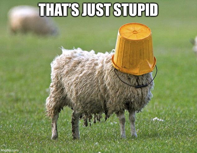 stupid sheep | THAT’S JUST STUPID | image tagged in stupid sheep | made w/ Imgflip meme maker