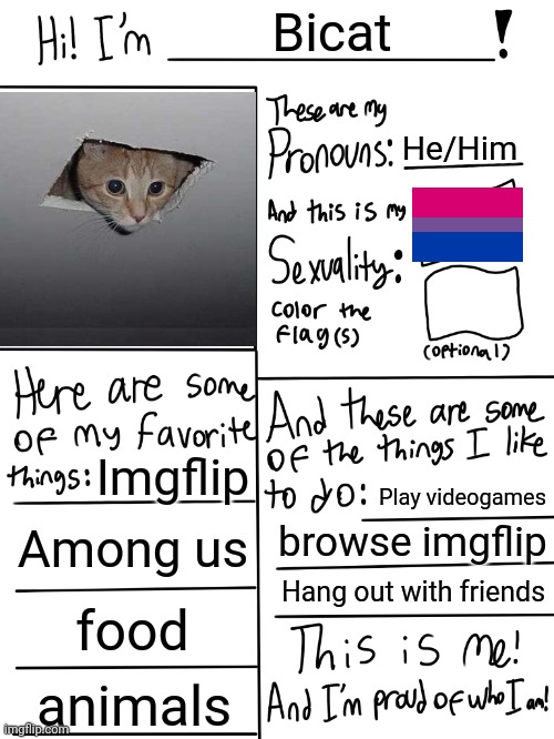 My profile | Bicat; He/Him; Imgflip; Play videogames; Among us; browse imgflip; Hang out with friends; food; animals | image tagged in lgbtq stream account profile | made w/ Imgflip meme maker