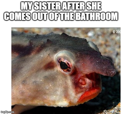 MY SISTER AFTER SHE COMES OUT OF THE BATHROOM | image tagged in blank white template | made w/ Imgflip meme maker