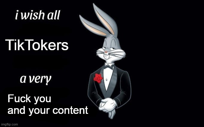 I wish all the X a very pleasant evening | TikTokers; Fuck you and your content | image tagged in i wish all the x a very pleasant evening | made w/ Imgflip meme maker