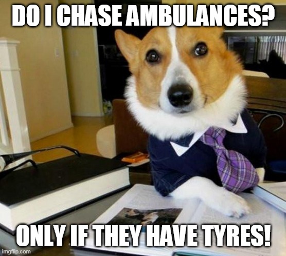 Here, Take My Card, I Made It Out Of A Chew Toy, You Can Keep It | DO I CHASE AMBULANCES? ONLY IF THEY HAVE TYRES! | image tagged in lawyer corgi dog,lawyer,dog,ambulance chaser,injury claim,claim | made w/ Imgflip meme maker