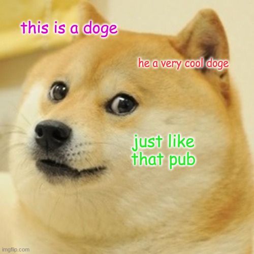 Doge Meme | this is a doge he a very cool doge just like that pub | image tagged in memes,doge | made w/ Imgflip meme maker