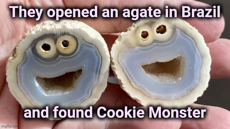 Wonderful Nature | They opened an agate in Brazil; and found Cookie Monster | image tagged in oof stones,rockstar,cookie monster,found,i was told there would be | made w/ Imgflip meme maker