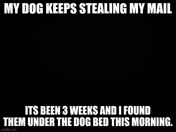 Damn dog. |  MY DOG KEEPS STEALING MY MAIL; ITS BEEN 3 WEEKS AND I FOUND THEM UNDER THE DOG BED THIS MORNING. | image tagged in dio | made w/ Imgflip meme maker