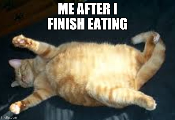 big cat = big food | ME AFTER I FINISH EATING | image tagged in cat,food | made w/ Imgflip meme maker
