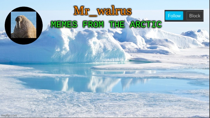 Mr_walrus | MEMES FROM THE ARCTIC | image tagged in mr_walrus | made w/ Imgflip meme maker