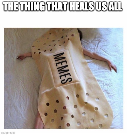 memes | THE THING THAT HEALS US ALL | image tagged in funny memes | made w/ Imgflip meme maker