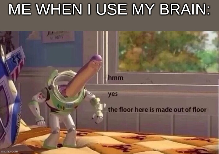 hmmm yes | ME WHEN I USE MY BRAIN: | image tagged in hmmm yes | made w/ Imgflip meme maker
