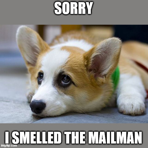 SORRY I SMELLED THE MAILMAN | made w/ Imgflip meme maker