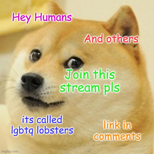 PLS | Hey Humans; And others; Join this stream pls; its called lgbtq lobsters; link in comments | image tagged in memes,doge | made w/ Imgflip meme maker