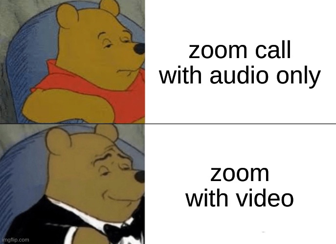 :) | zoom call with audio only; zoom with video | image tagged in memes,tuxedo winnie the pooh | made w/ Imgflip meme maker