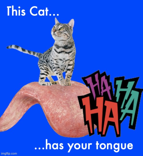 This Cat Has Got Your Tongue | image tagged in cat has tongue,no reply,shut you up | made w/ Imgflip meme maker