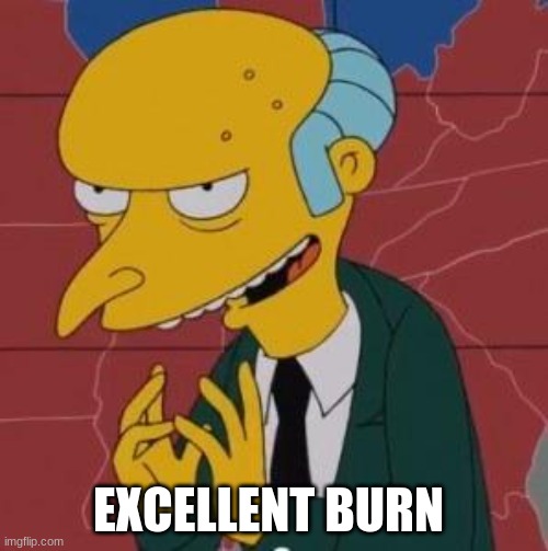 Mr. Burns Excellent | EXCELLENT BURN | image tagged in mr burns excellent | made w/ Imgflip meme maker