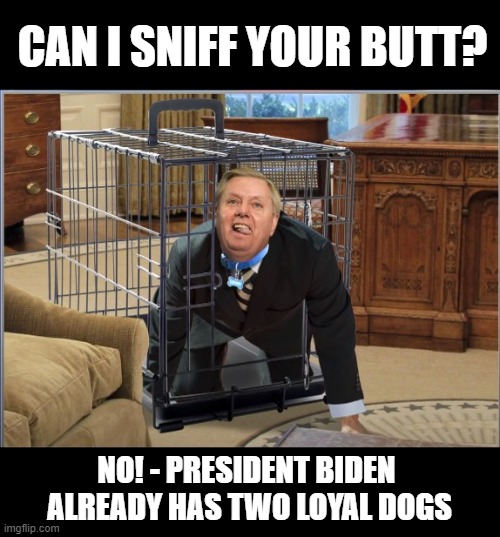 Lindsey Graham Get Back In Your Cage! | CAN I SNIFF YOUR BUTT? NO! - PRESIDENT BIDEN 
ALREADY HAS TWO LOYAL DOGS | image tagged in caged lindsey graham,ass-kisser,hypocrite,fake,liar,corrupt | made w/ Imgflip meme maker