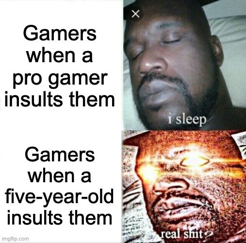 Sleeping Shaq Meme | Gamers when a pro gamer insults them; Gamers when a five-year-old insults them | image tagged in memes,sleeping shaq | made w/ Imgflip meme maker