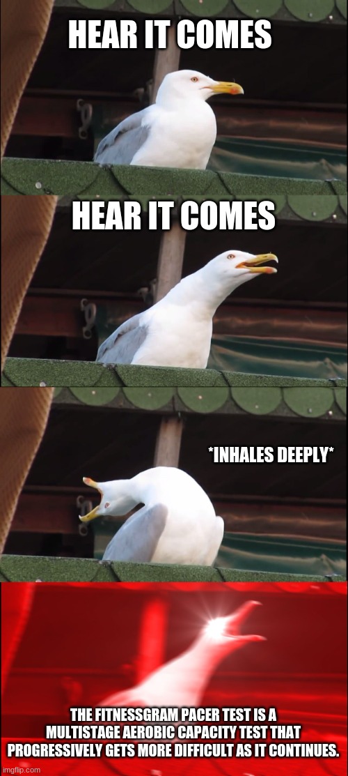 Inhaling Seagull | HEAR IT COMES; HEAR IT COMES; *INHALES DEEPLY*; THE FITNESSGRAM PACER TEST IS A MULTISTAGE AEROBIC CAPACITY TEST THAT PROGRESSIVELY GETS MORE DIFFICULT AS IT CONTINUES. | image tagged in memes,inhaling seagull | made w/ Imgflip meme maker