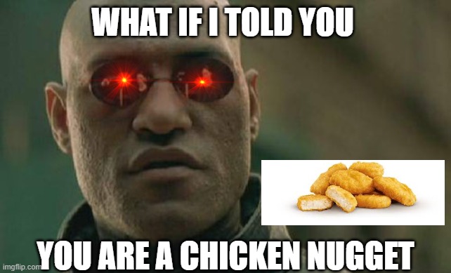 idk | WHAT IF I TOLD YOU; YOU ARE A CHICKEN NUGGET | image tagged in idk | made w/ Imgflip meme maker