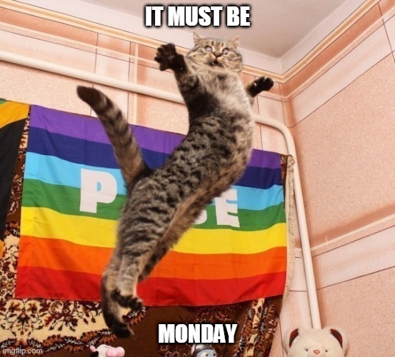 Pride Cat |  IT MUST BE; MONDAY | image tagged in pride cat,garfield,cat,poor cat,monday,cruel | made w/ Imgflip meme maker