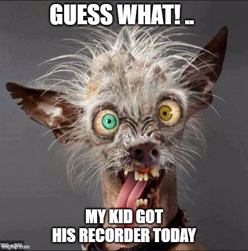 My kid got his recorder | GUESS WHAT! .. MY KID GOT HIS RECORDER TODAY | image tagged in recorder,middle school,terrible music,fourth grade | made w/ Imgflip meme maker
