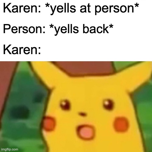 Surprised Pikachu | Karen: *yells at person*; Person: *yells back*; Karen: | image tagged in memes,surprised pikachu | made w/ Imgflip meme maker