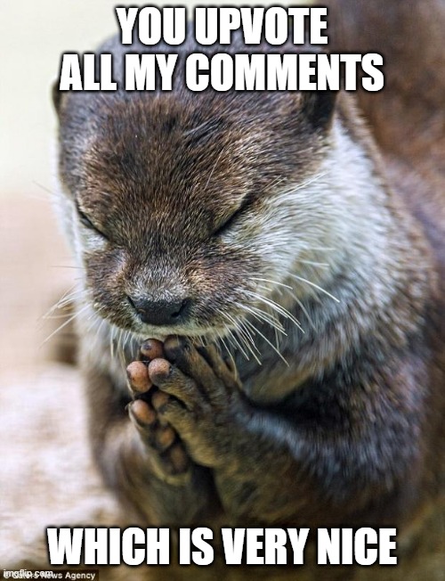 Thank you Lord Otter | YOU UPVOTE ALL MY COMMENTS WHICH IS VERY NICE | image tagged in thank you lord otter | made w/ Imgflip meme maker