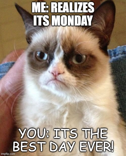 Grumpy Cat | ME: REALIZES ITS MONDAY; YOU: ITS THE BEST DAY EVER! | image tagged in memes,grumpy cat | made w/ Imgflip meme maker