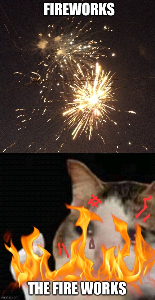 FIREWORKS; THE FIRE WORKS | image tagged in sad thumbs up cat | made w/ Imgflip meme maker