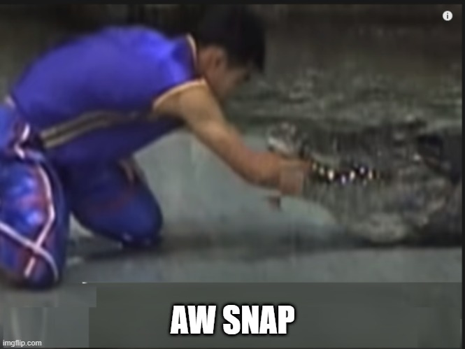 Aw Snap it bit me | AW SNAP | image tagged in crocodile,bite | made w/ Imgflip meme maker