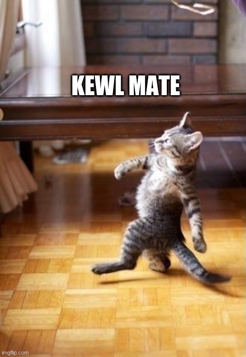 Cool Cat Stroll Meme | KEWL MATE | image tagged in memes,cool cat stroll | made w/ Imgflip meme maker