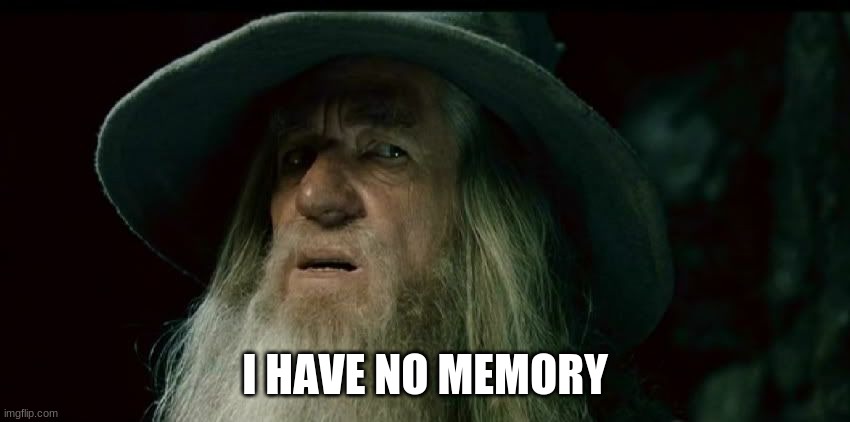 CONFUSED GANDALF | I HAVE NO MEMORY | image tagged in confused gandalf | made w/ Imgflip meme maker