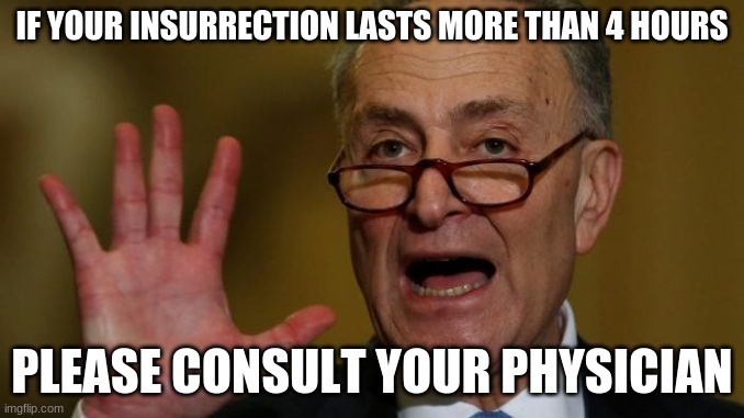 Chuck Schumer | IF YOUR INSURRECTION LASTS MORE THAN 4 HOURS; PLEASE CONSULT YOUR PHYSICIAN | image tagged in chuck schumer | made w/ Imgflip meme maker