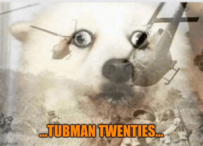 PTSD dog | ...TUBMAN TWENTIES... | image tagged in ptsd dog | made w/ Imgflip meme maker