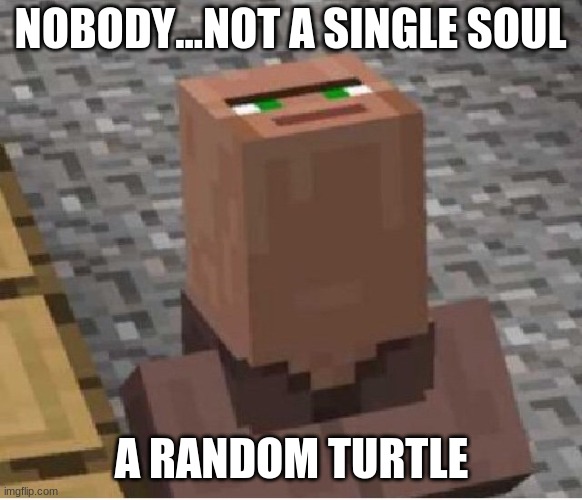 Meme | NOBODY...NOT A SINGLE SOUL; A RANDOM TURTLE | image tagged in minecraft villager looking up | made w/ Imgflip meme maker
