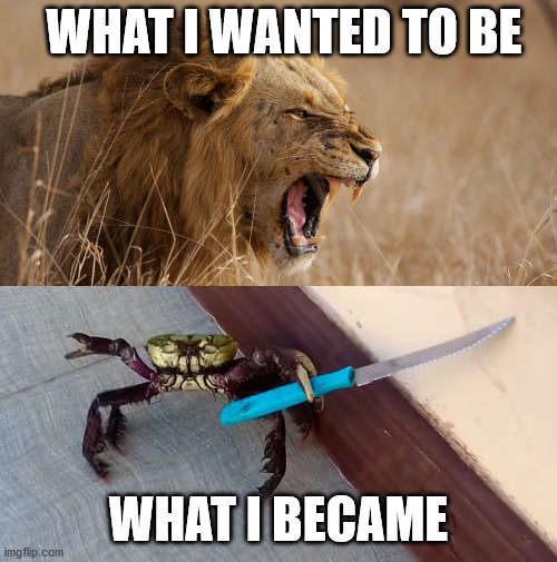 From Lions to Crabs | WHAT I WANTED TO BE; WHAT I BECAME | image tagged in memes | made w/ Imgflip meme maker