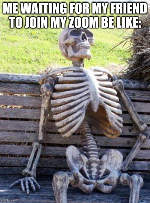 Waiting Skeleton | ME WAITING FOR MY FRIEND TO JOIN MY ZOOM BE LIKE: | image tagged in memes,waiting skeleton | made w/ Imgflip meme maker