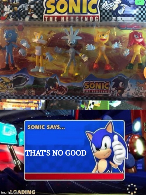 That's not really good | THAT'S NO GOOD | image tagged in sonic says | made w/ Imgflip meme maker