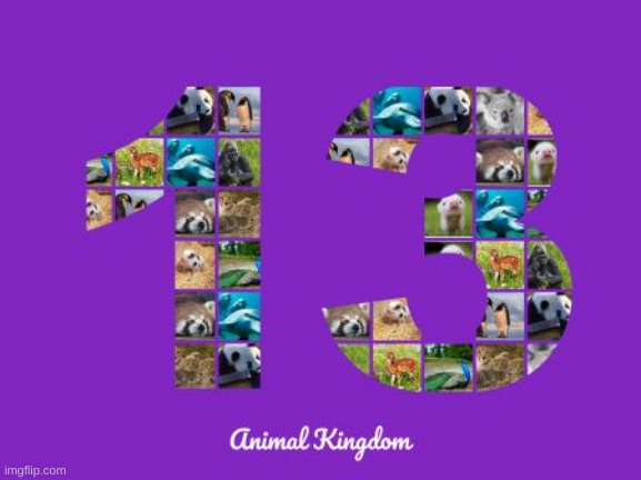 I decided to make a animal collage tell me what you think of it | image tagged in animals | made w/ Imgflip meme maker