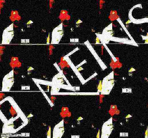 9 neins deep-fried 1 Blank Meme Template