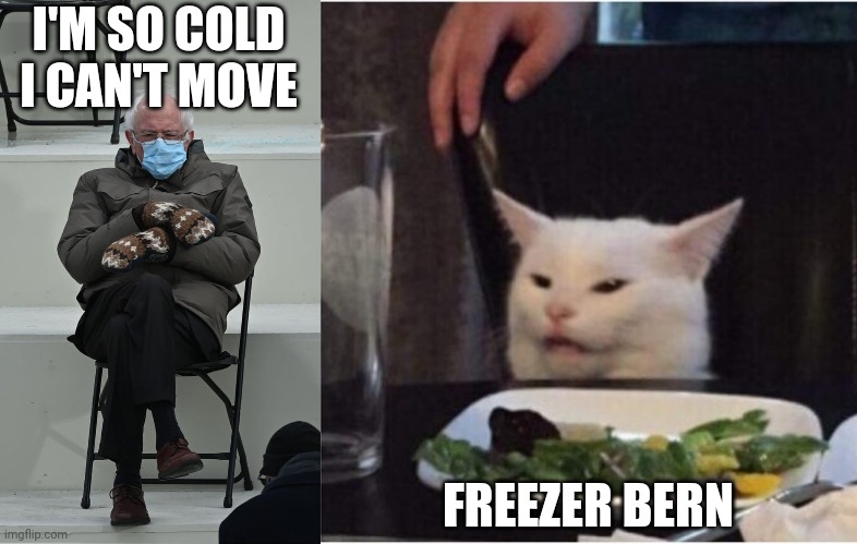 Freezer Bern | I'M SO COLD I CAN'T MOVE; FREEZER BERN | image tagged in bernie sanders | made w/ Imgflip meme maker