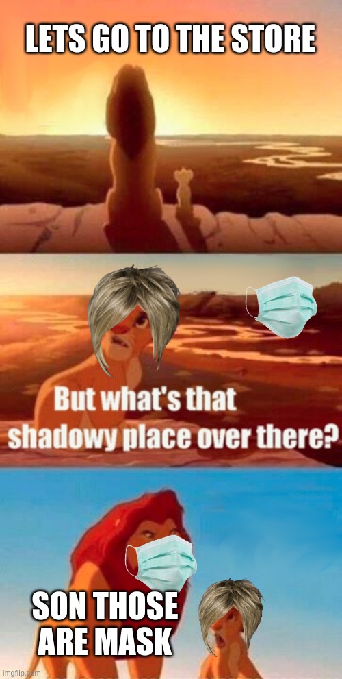 Simba Shadowy Place | LETS GO TO THE STORE; SON THOSE ARE MASK | image tagged in memes,simba shadowy place | made w/ Imgflip meme maker