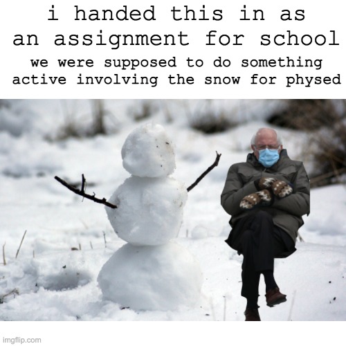 My teacher actually liked it | i handed this in as an assignment for school; we were supposed to do something active involving the snow for physed | image tagged in bernie sanders mittens | made w/ Imgflip meme maker