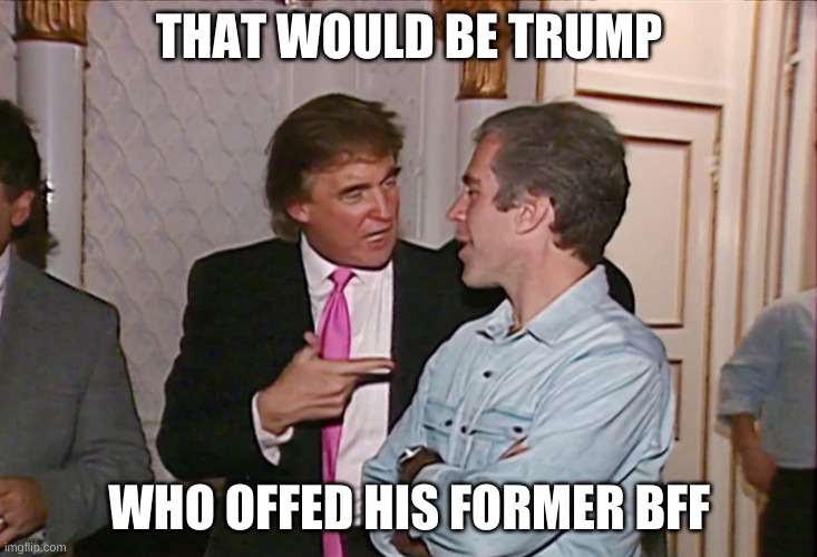 Trump & Epstein | THAT WOULD BE TRUMP WHO OFFED HIS FORMER BFF | image tagged in trump epstein | made w/ Imgflip meme maker
