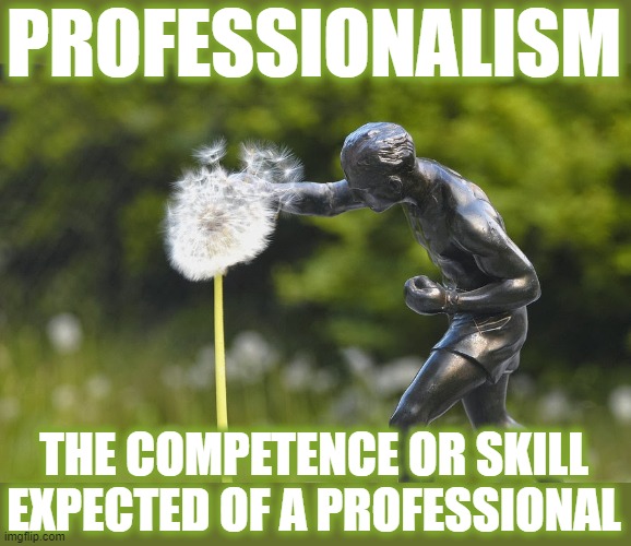 PROFESSIONALISM | PROFESSIONALISM; THE COMPETENCE OR SKILL EXPECTED OF A PROFESSIONAL | image tagged in professionalism,skill,professional,expected,competence,quality | made w/ Imgflip meme maker